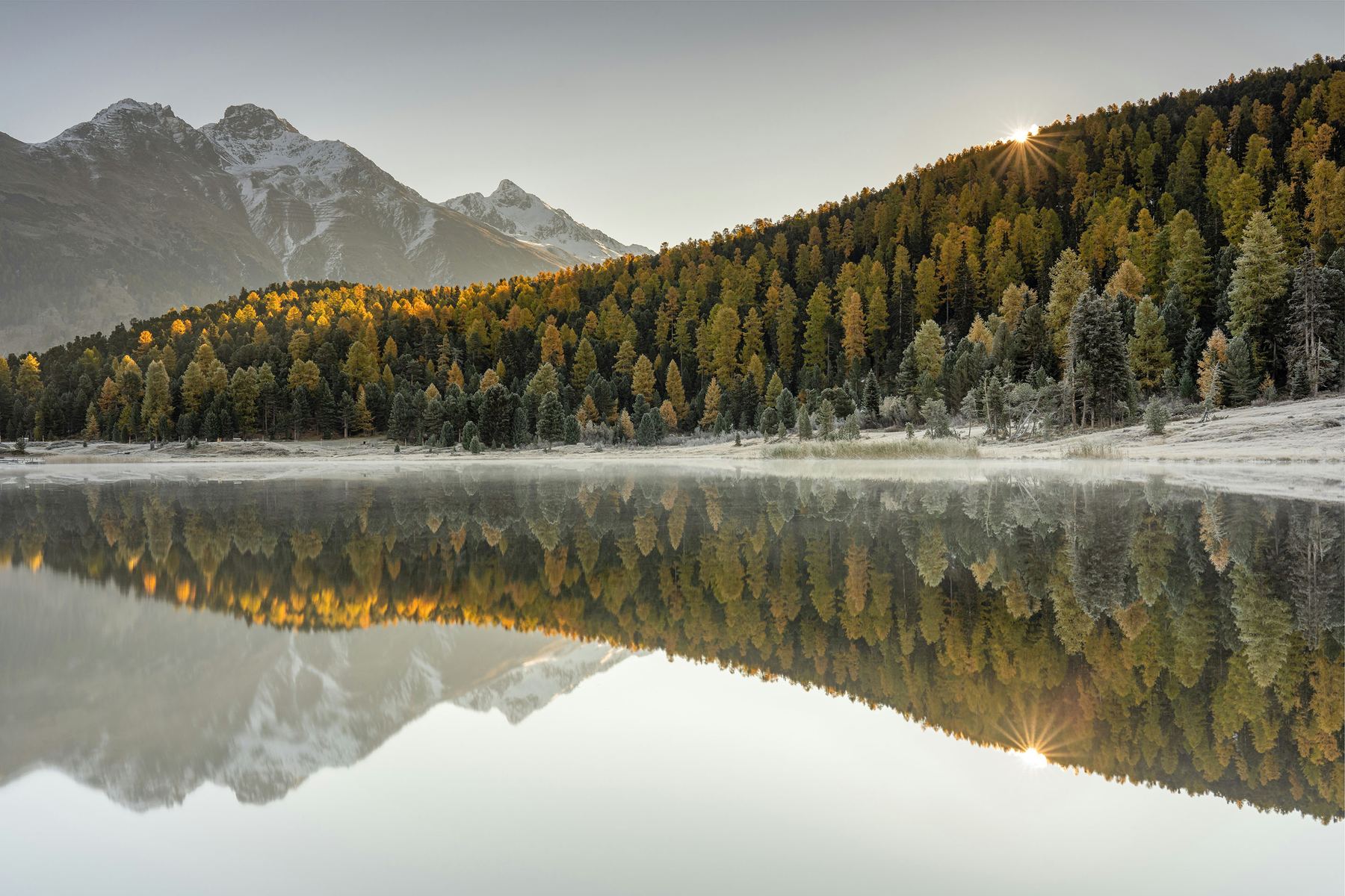 Bergsee im Engadin bei Sonnenaufgang, Lärchen im Herbstlicht spiegeln sich im Wasser